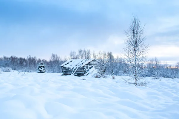 Eski bir yazlık, bir ağaç ve Lapland Finland, Kuzey Avrupa mavi gökyüzünde güzel karlı kış orman manzara arka plan 