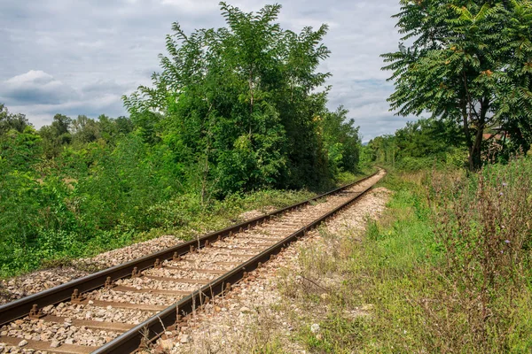 Perspektif görünümü güneşli gün ve mavi gökyüzü, endüstriyel kavramsal arka plan, ulaşım demiryolu Turizm İstasyonu yeşil ormandaki yaşlı demiryolu yollarının