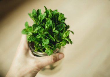 Kahverengi arka planda taze nane şekeri olan kadın eli