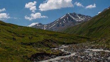 Vadideki dağ nehri, Elbrus bölgesi.