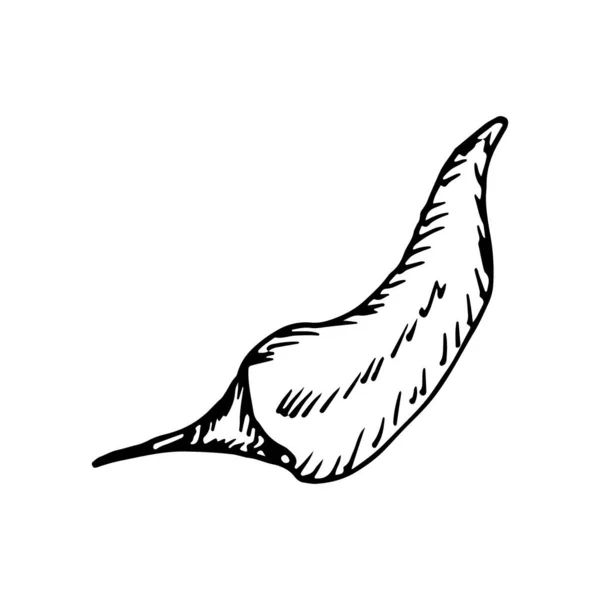 Piment Piquant Isolé Sur Fond Blanc Esquisse Vectorielle Illustration Dessinée — Image vectorielle