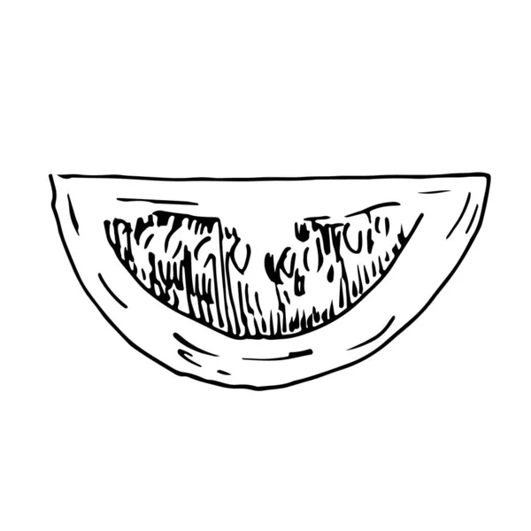 Mitad Rebanada Tomate Aislada Sobre Fondo Blanco Ilustración Bosquejo Dibujado — Vector de stock