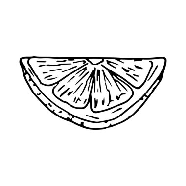 Limon dilimi beyaz arka planda izole edilmiş. El çizimi vektör çizimi çizimi çizimi çizim biçimi. Taze meyve, portakal, turunçgil, mandalina, limon, sıcak şarap, terbiye, şeker.