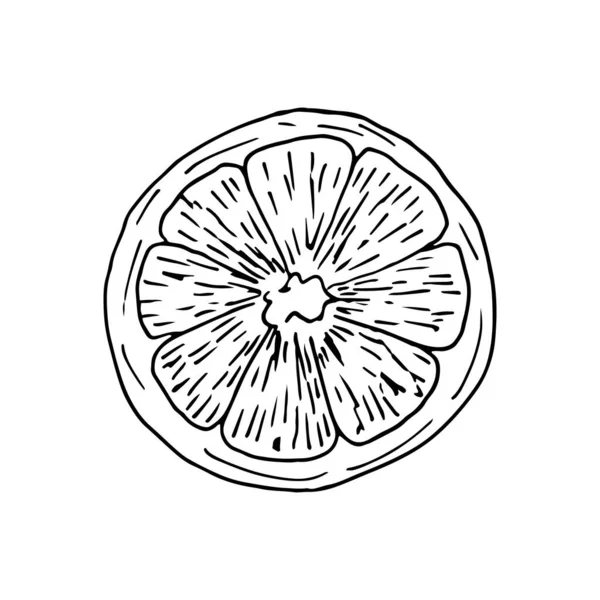 Beyaz arka planda izole edilmiş eskiz şeklinde portakal limon dilimi. Çizim çiziminde çizilmiş vektör el çizimi Syle. Salata, narenciye, sıcak şarap, mandalina.