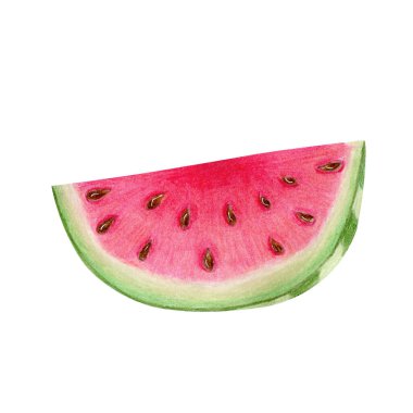 Beyaz arka planda izole edilmiş tohumlu karpuz dilimi. Suluboya elle çizilmiş gerçekçi bir resim. Tatlı kavramı, sağlıklı yaşam tarzı, Citrullus lanatus, vejetaryen yemeği, bitki.