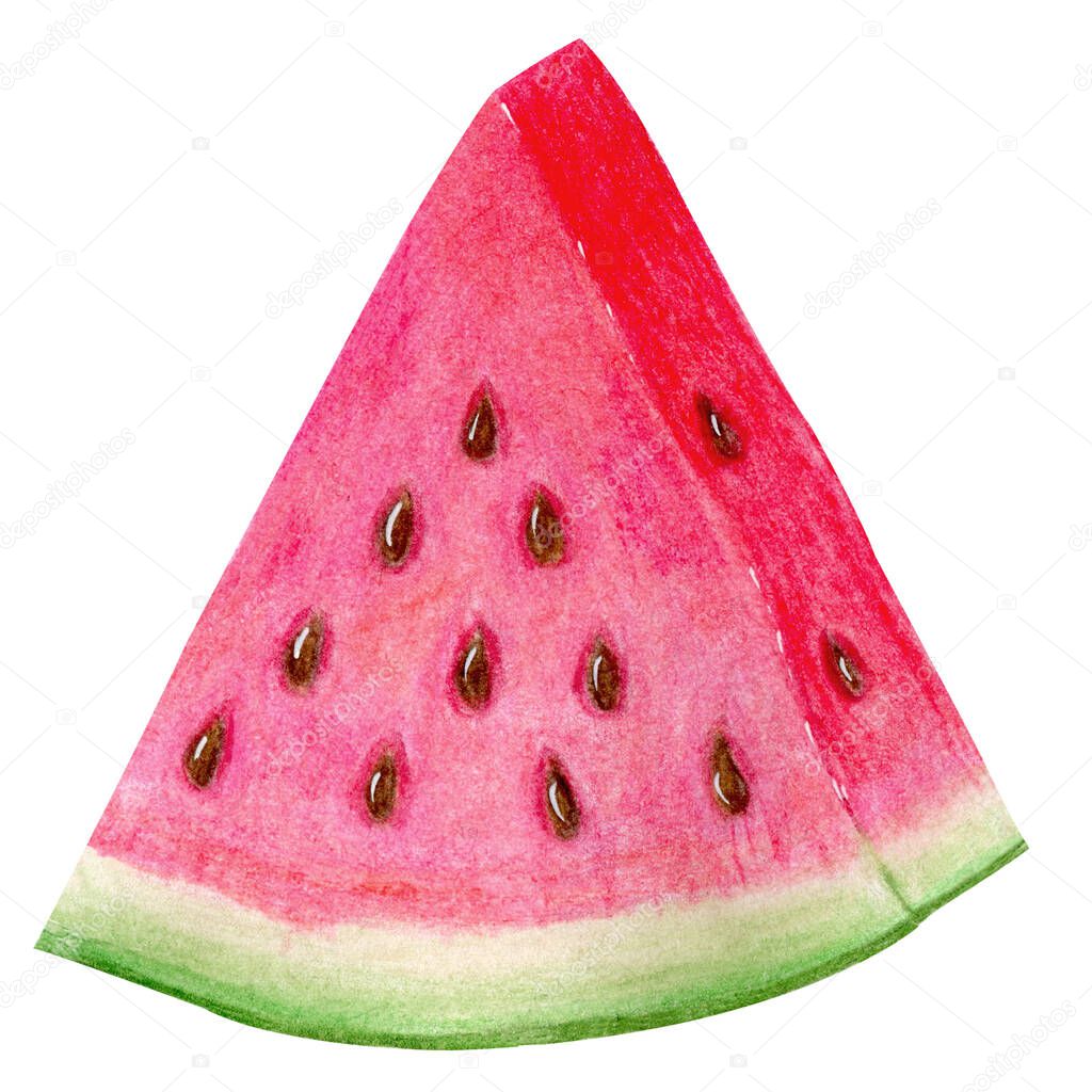 Triangular piece of fresh watermelon isolated on white background. Watercolor hand drawn illustration in realistic style. Concept of hello summer, dessert, tasty sweet fruit, clipart, decoration