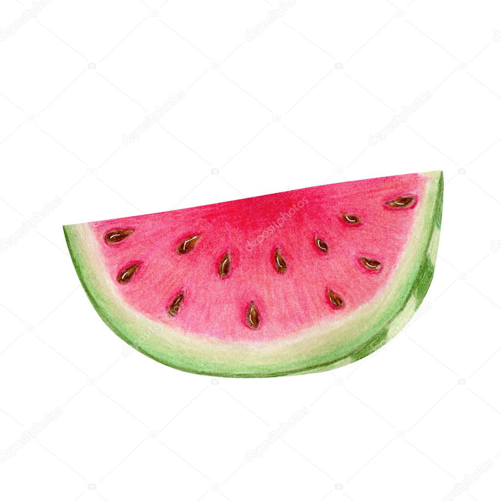 Half of watermelon slice with seeds isolated on white background. Watercolor hand drawn illustration in realistic style. Concept of dessert, healthy lifestyle, Citrullus lanatus, vegan food, plant