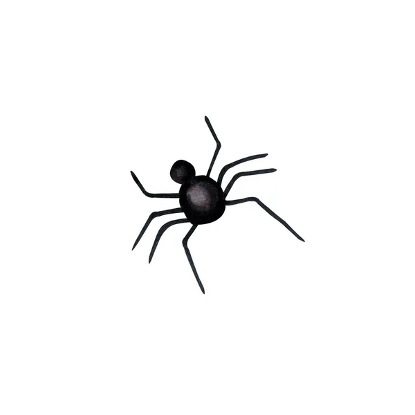 Black Spider Isolated White Background Watercolor Markers Hand Drawn Illustration — Fotografia de Stock
