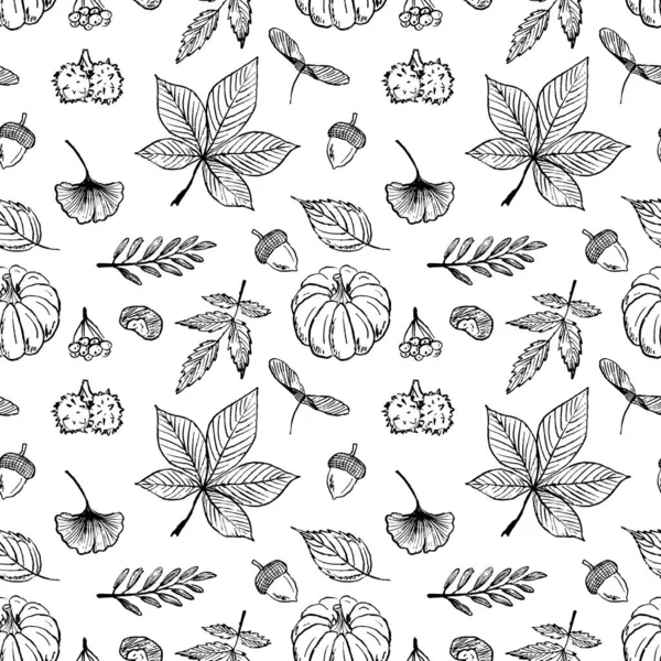 Turuncu, sarı, kırmızı ve yeşil yapraklı kusursuz desenler, beyaz üzerinde izole edilmiş siyah fırça desenli balkabağı deseni. Klasik kömür mürekkebiyle elle çizilmiş vektör çizimi. Kestane, ginkgo