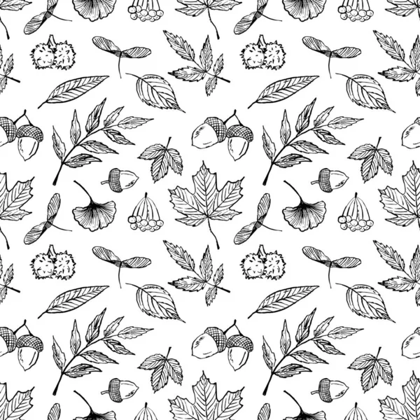 Turuncu, sarı, kırmızı ve yeşil yapraklı kusursuz desenler, beyaz üzerinde izole edilmiş siyah fırça desenli balkabağı deseni. Klasik kömür mürekkebiyle elle çizilmiş vektör çizimi. Kestane, ginkgo