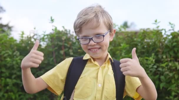 Portrait d'un garçon blond avec des lunettes montrant les pouces vers le haut geste et s'amuser dans le parc — Video