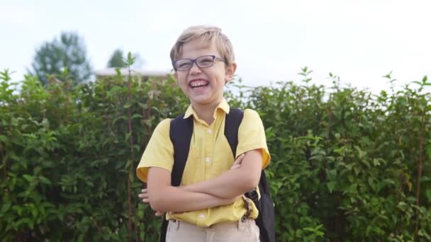 Ritratto di un ragazzino eccitato con gli occhiali che ride nel parco — Video Stock