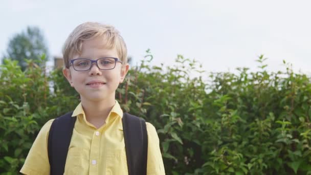 Portrait de jeune garçon blond portant des lunettes, espace de copie — Video