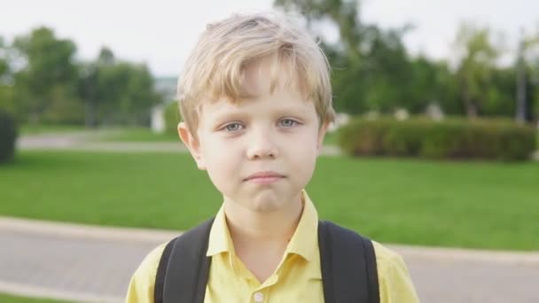 Portrait de garçon blond surpris avec expression faciale choquée — Video