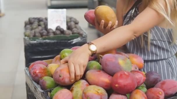 Mujer recogiendo una fruta de mango tropical madura en el mercado — Vídeo de stock