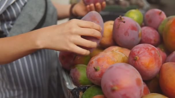 Женские руки выбрать свежий манго в продуктовом магазине — стоковое видео