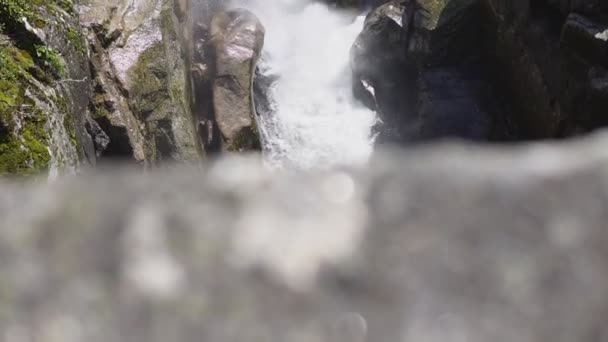 Vue panoramique de cascade cascade dans la forêt sauvage avec des pierres 