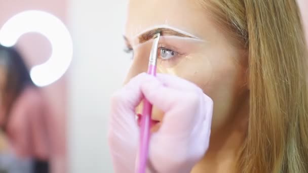 Close-up van professionele make-up kunstenaar werken aan model wenkbrauwen in een schoonheidssalon — Stockvideo