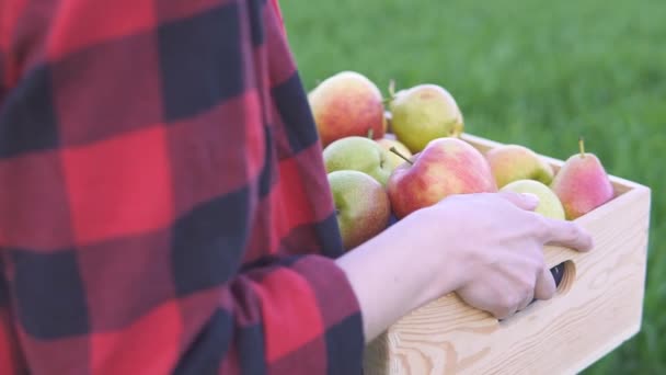 Primo piano di donna contadina azienda scatola di legno con frutti diversi e camminare sul campo rallentatore — Video Stock