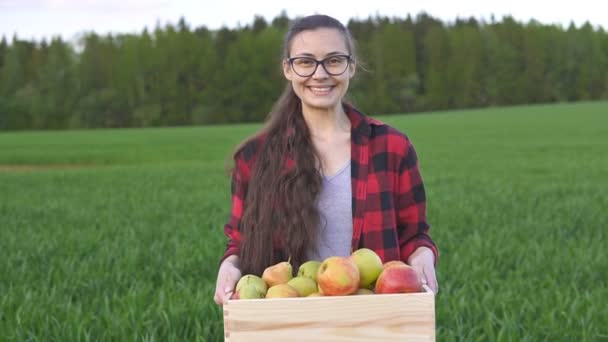 Retrato de una mujer agricultora sonriente sosteniendo una caja de frutas frescas - manzanas y peras — Vídeo de stock