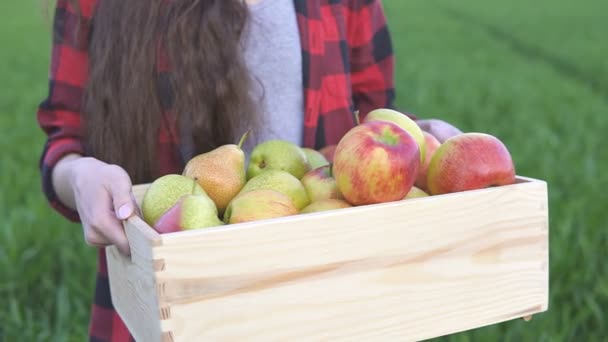 Primer plano de la mujer agricultora sosteniendo caja de madera con frutas, cámara lenta — Vídeo de stock