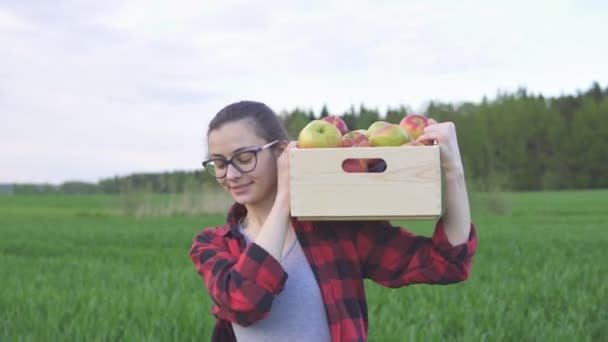 Jovem agricultora segurando caixa de madeira com frutas e atravessa o campo — Vídeo de Stock