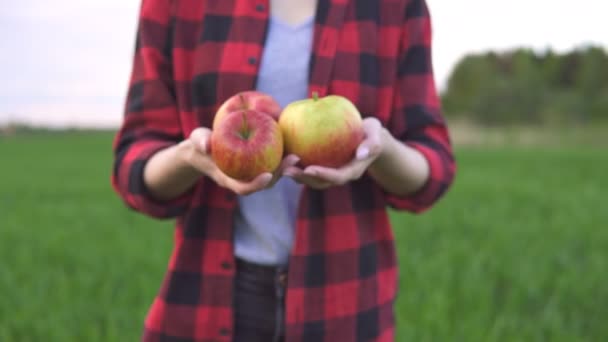 Primer plano de las manos de las mujeres sosteniendo manzanas frescas recogidas en la granja del huerto — Vídeo de stock