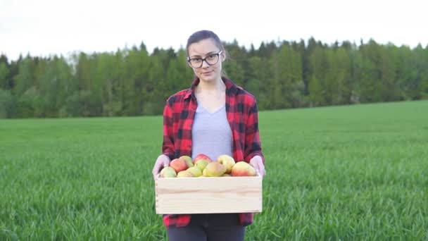 Mulher agricultor segurando caixa de madeira com frutas e atravessa o campo, câmera lenta — Vídeo de Stock