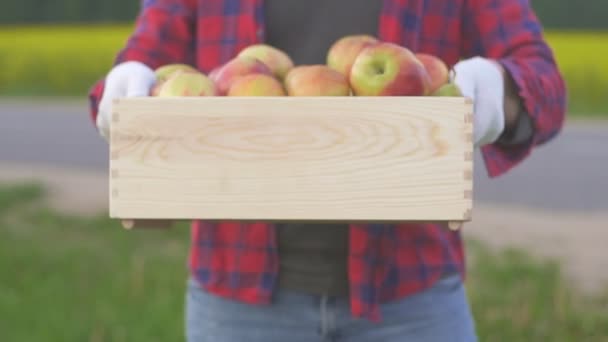 Primer plano de un agricultor macho sosteniendo una caja de madera de frutas frescas — Vídeo de stock