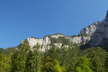 Avusturya 'daki Glatthorn 2134 metre yüksekliğindeki Alpler Panoraması' nın resimleri