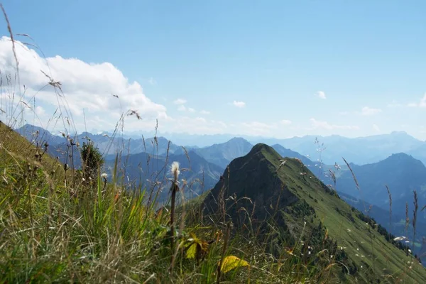 Fotos Panorama Alpes Áustria Glatthorn 2134 Metros Altura — Fotografia de Stock