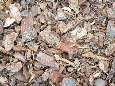 Bagaj parçası arka planda izole edildi.