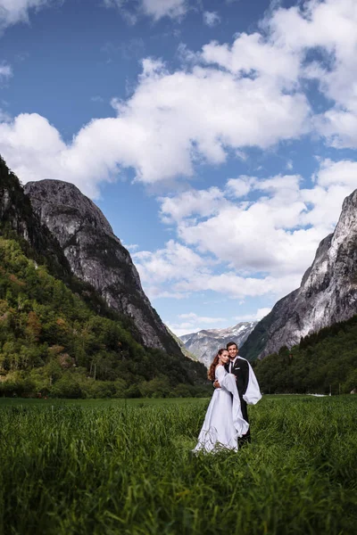 Omarmend Pasgetrouwden Staan Het Groene Sappige Gras Tegen Achtergrond Van — Stockfoto