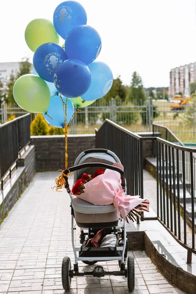 Buggy rose Stock Photos, Royalty Free Buggy rose Images | Depositphotos