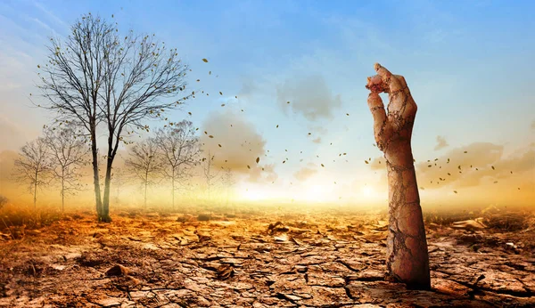 The dry, cracked hand emerged from the dry ground on dead tree background.Concept of global warming.
