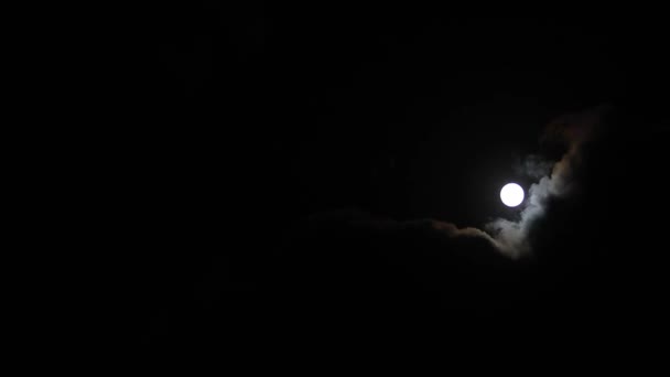Wolken passeren 's nachts de maan. Volle maan 's nachts met bewolking real time. mysterie sprookjesland scene. — Stockvideo