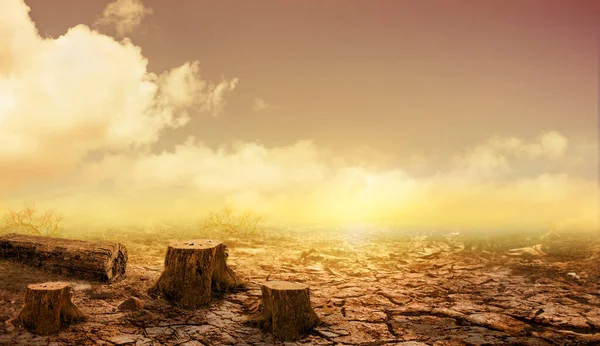 Трещины Земли Засухи Засухи Дамбе Реке Жаркое Лето Природа Мертвый — стоковое фото