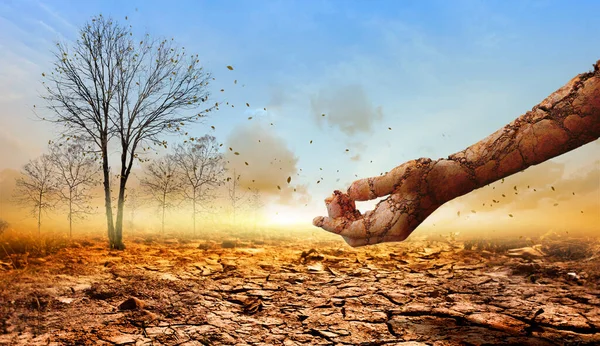 Dry Cracked Hand Dry Ground Dead Tree Background Concept Global — Stock Photo, Image