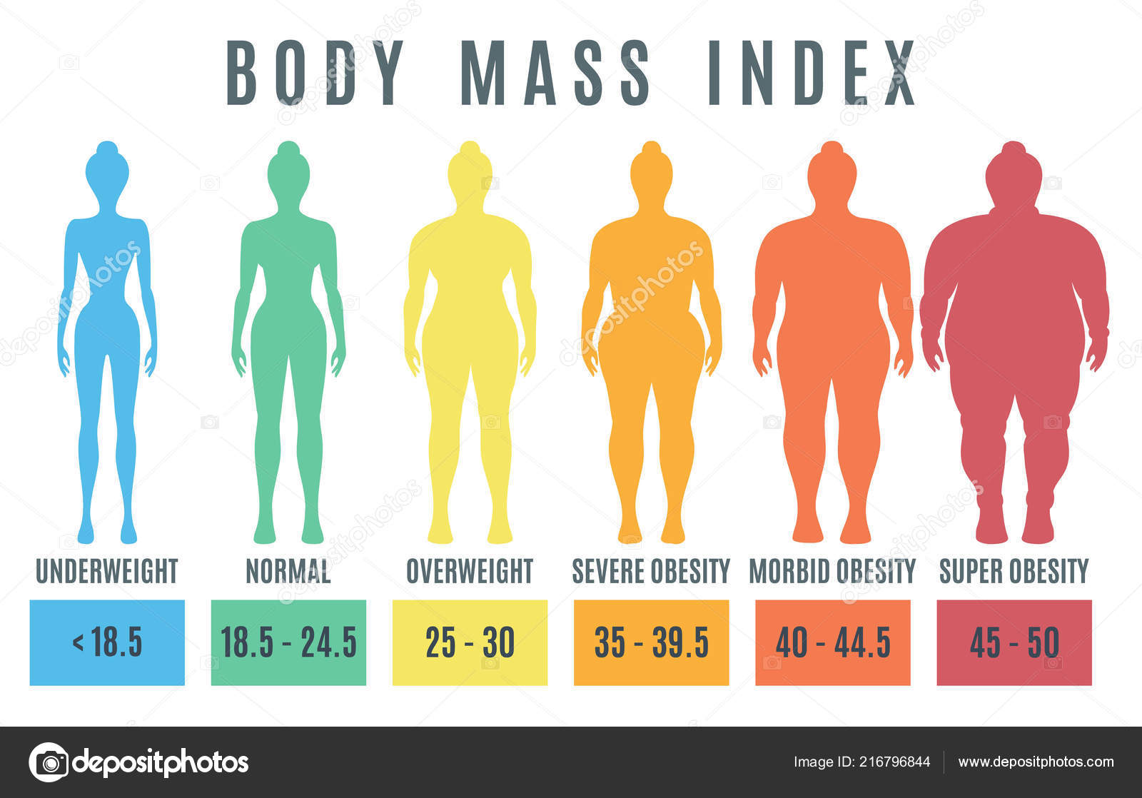 Bmi Underweight Overweight Chart