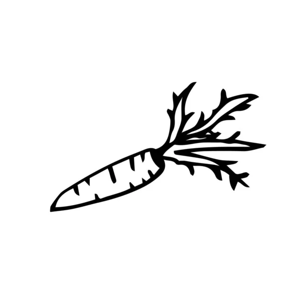 Beyaz Arka Planda Siyah Çizgilerle Çizilmiş Havuç Kuşu Yapraklı Havucun — Stok Vektör