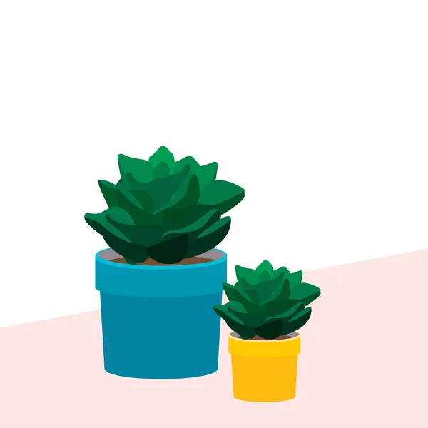 桌子上有两个放在锅子里的埃切韦里亚 两个室内盆栽在一个黄色的罐子里 一个蓝色的盆栽在一个粉红色的桌子上 — 图库矢量图片