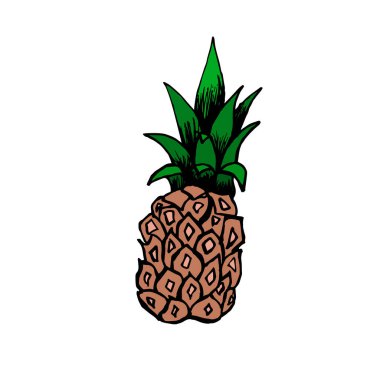 Beyaz arka planda renkli ananas çizimi. Ambalaj, logo, baskı, meyve suyu ve limonata için karalama ananaslı.