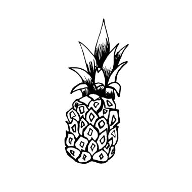 Ananas çizimi beyaz arka planda siyahtır. Bir ananas karala. Dekorasyon kağıdı, dizinler, paketler için kullan