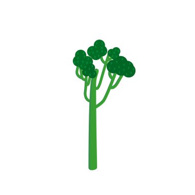 Yeni bir brokoli türü. Beyaz arkaplanda bir brokoli.