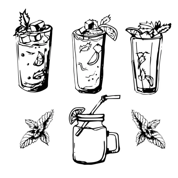 Eine Reihe Von Cocktail Skizzen Skizzen Von Limonade Cocktail Minze — Stockvektor