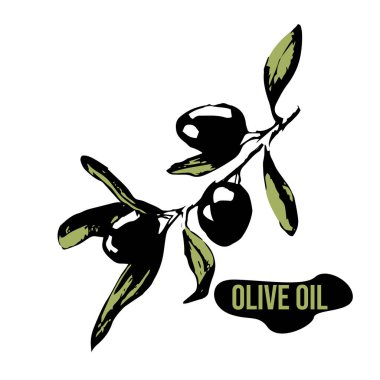 Zeytin yağı içerikli ambalaj tasarımı ve yanında zeytin yağı olan bir dal..