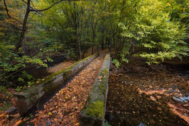 Güzel günlük manzara. Stara reka Reserve Sonbaharda, Stara planina Dağı, Bulgaristan
