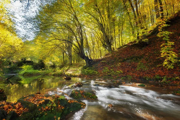 Водопад Докузак Горах Странджа Болгария Осенью Красивый Вид Реку Водопадом — стоковое фото