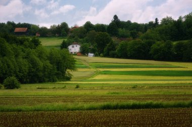 Güneşli baharda Bled Gölü yakınlarındaki vadide Sloven köyü olan kırsal dağlık arazi. Slovenya.