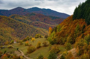 Bulgaristan 'ın Rodop Dağları' nın Lakavitsa köyündeki muhteşem sonbahar manzarası